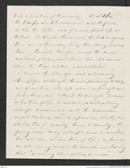 Nachlass Franz Steindachner, Brief von E. Davidson an Franz Steindachner (07.04.1877), Inv.Nr. 96.02, Seite 2